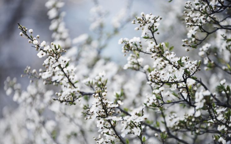 PAVASARIS 2019 mišrių dvejetų turnyras nuotrauka